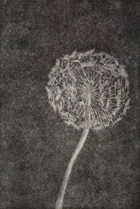 Kina, 2017, Etching na aquatint kumpapuro